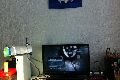 My studying room
